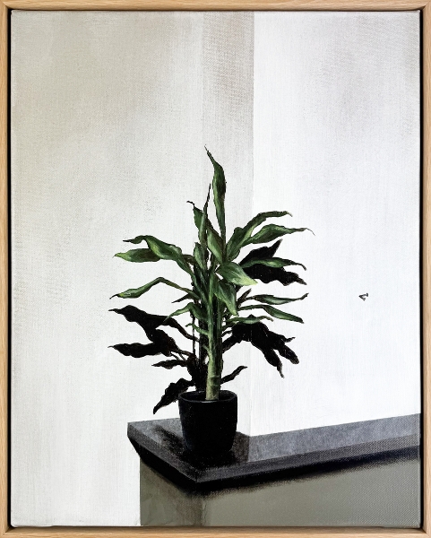 DEGLIN Bart - Still life with plant 2